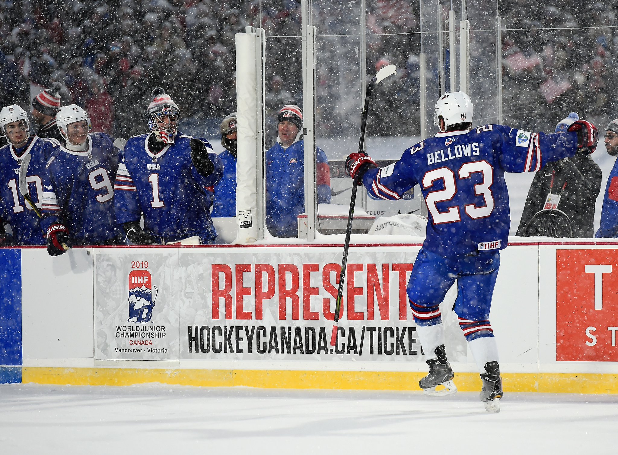 Ice Hockey Referee Group - NHL, USA Hockey, Hockey Canada, IIHF