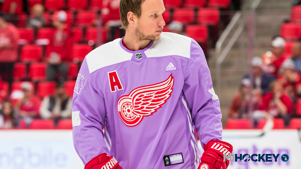 detroit red wings hockey fights cancer jersey