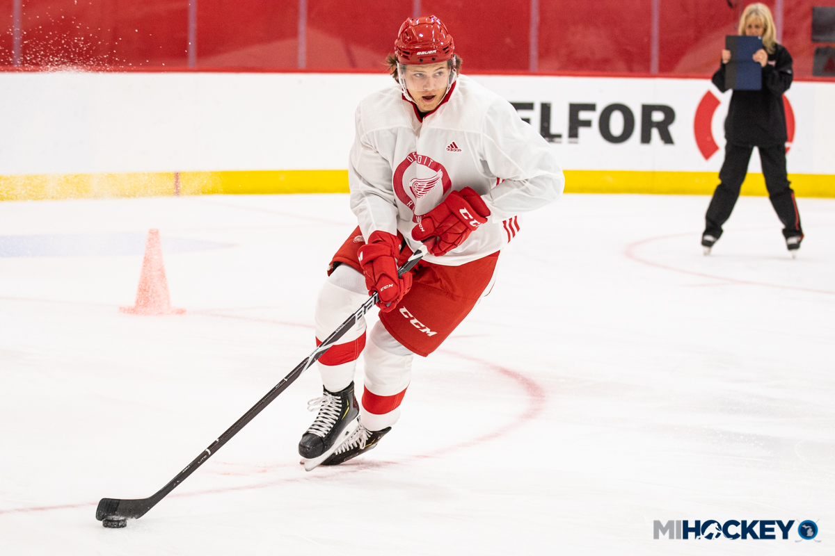 RED WINGS' SEIDER NAMED NHL 'ROOKIE OF THE MONTH' FOR OCTOBER - In