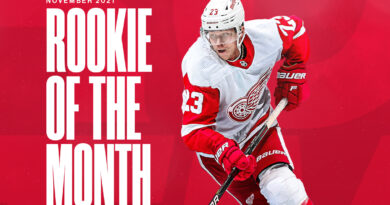 Red Wings’ Lucas Raymond named NHL Rookie of the Month for November